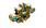 Forma