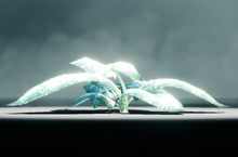 FrostLaubCodex