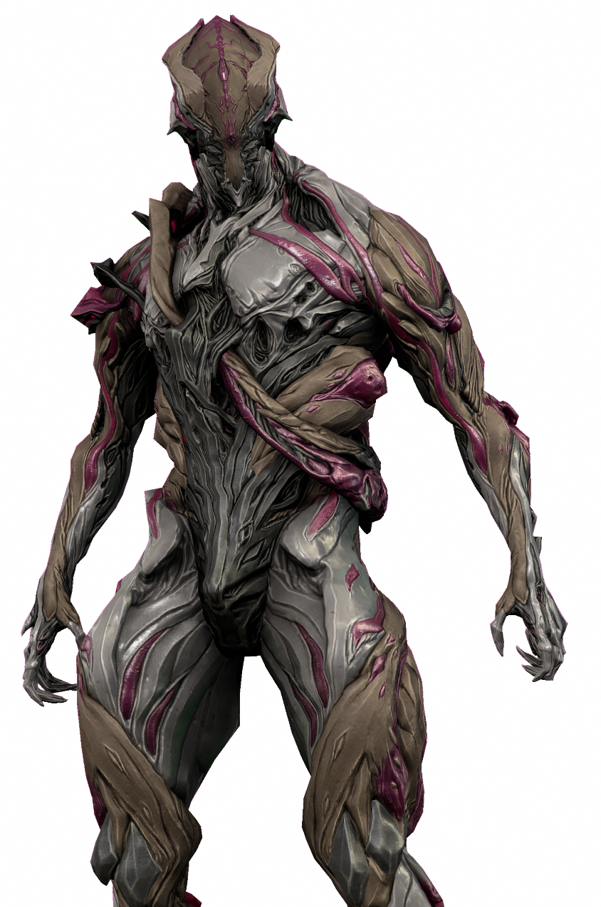 Nidus