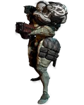 Warframe Kanonier