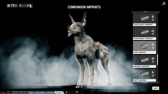 kubrow warframe wikia chesa