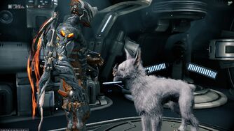 kubrow warframe wikia