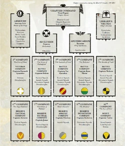 Imperial Fists Chapter Organisation