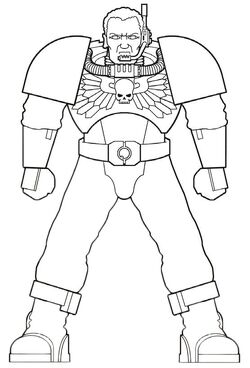 DW Scout Armour Schematic