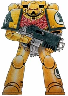 IF Tact Marine