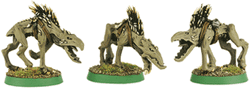 Kroot Hounds
