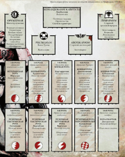 WS Chapter Organisation