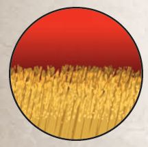 CestelleAlliance