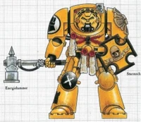 Imperial Fists Terminator.jpg (45 KB) Imperial Fists Terminator