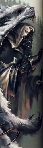 Mantle of The Champion