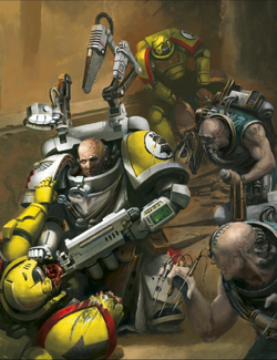 Apothecary | Warhammer 40k Wiki | Fandom
