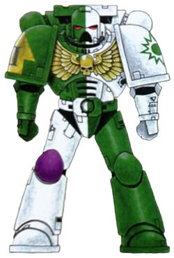 DS Colour Scheme