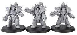 Aquilon-Terminators Lastrum Storm Bolters