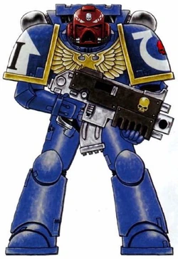 Ultramarines Vet Sgt 2
