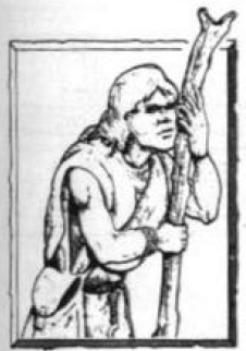 Druidic Priest