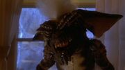 Gremlins-stripe