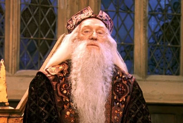 Image - Sorcerer's stone dumbledore.jpg | Warner Bros characters Wiki ...