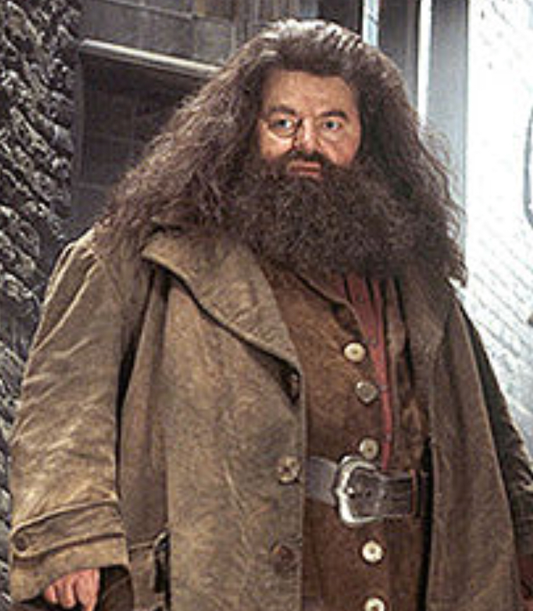 rubeus hagrid in harry potter