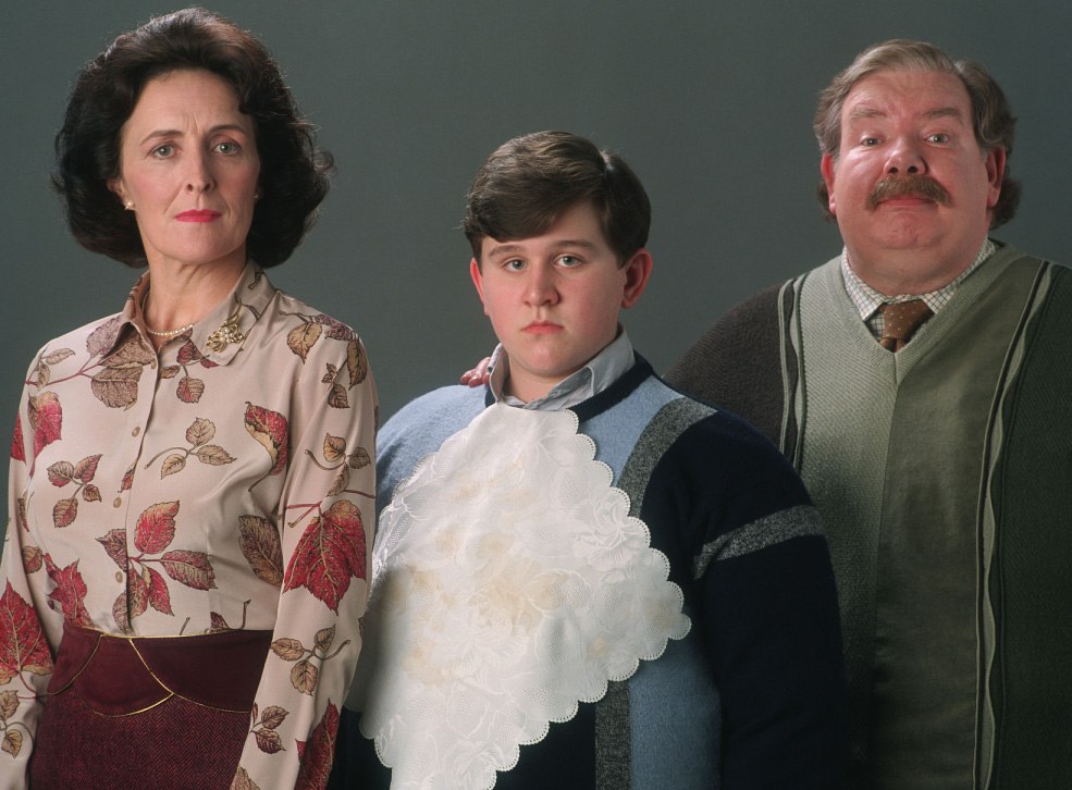 Dursley family Warner Bros. Entertainment Wiki FANDOM powered by Wikia