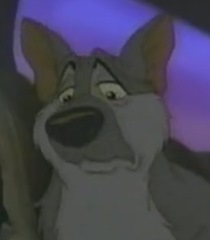 Max-rover-dangerfield-44.2