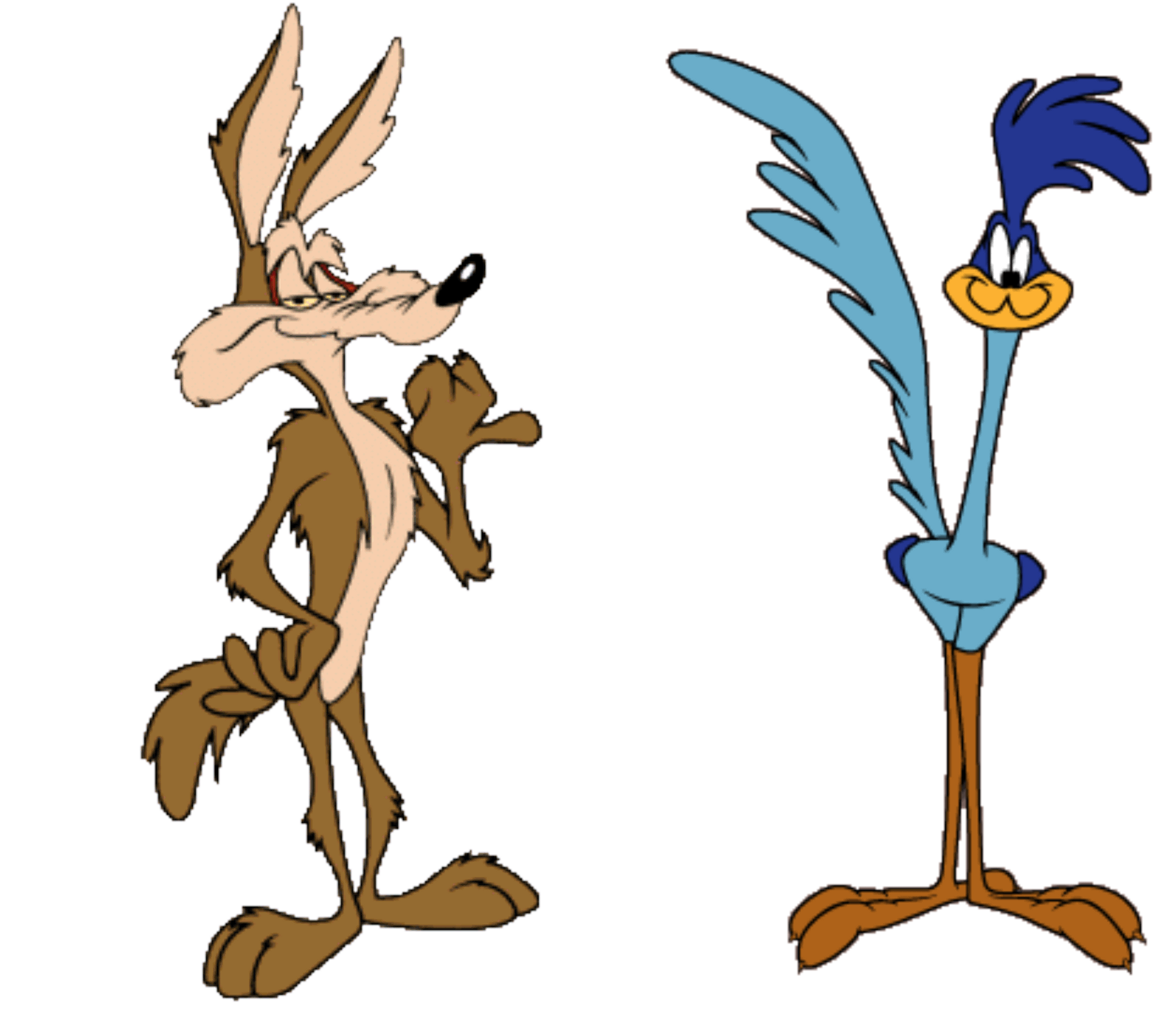 Wile E Coyote and the Road Runner Warner Bros Entertainment Wiki