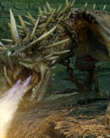 The Hungarian Horntail Warner Bros Entertainment Wiki Fandom