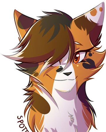 Spottedleaf Warrior Cats Wiki Fandom