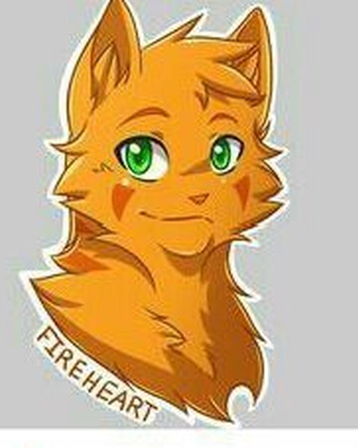 Firestar Warrior Cats Wiki Fandom