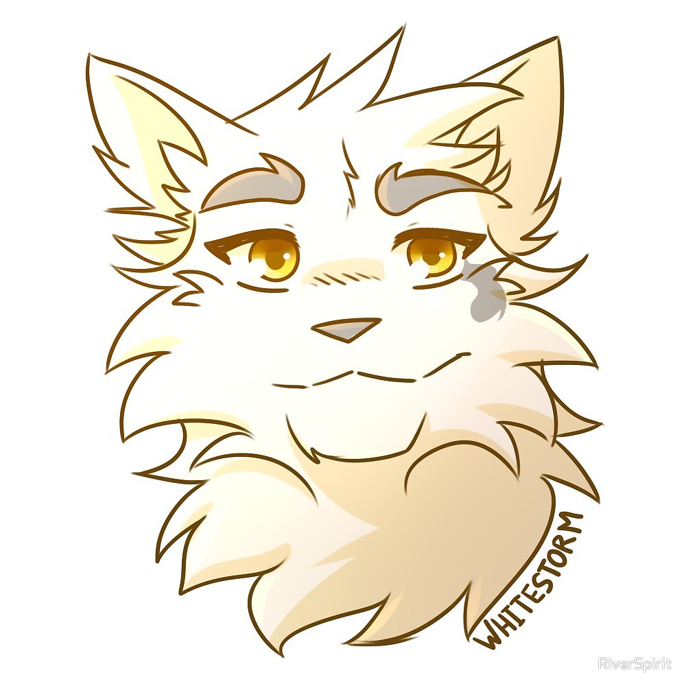 Whitestorm | Warrior cats Wiki | Fandom