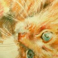 Seeking Revenge Warrior Cats Fanfic Wiki Fandom
