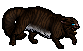 Hawkfrost df