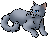 Bluestar star