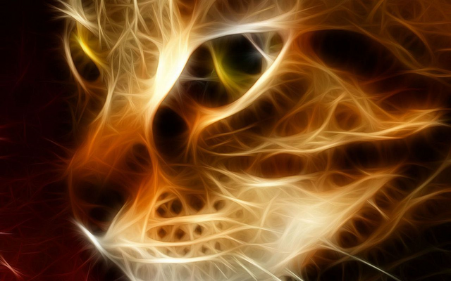 File:Wikia-Visualization-Main.png