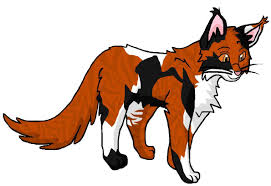 Rotschweif