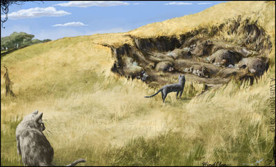Windclan camp by ashkey-d32nohz