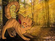 Stropelsinbos-0