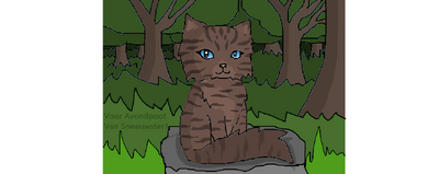Cat.....