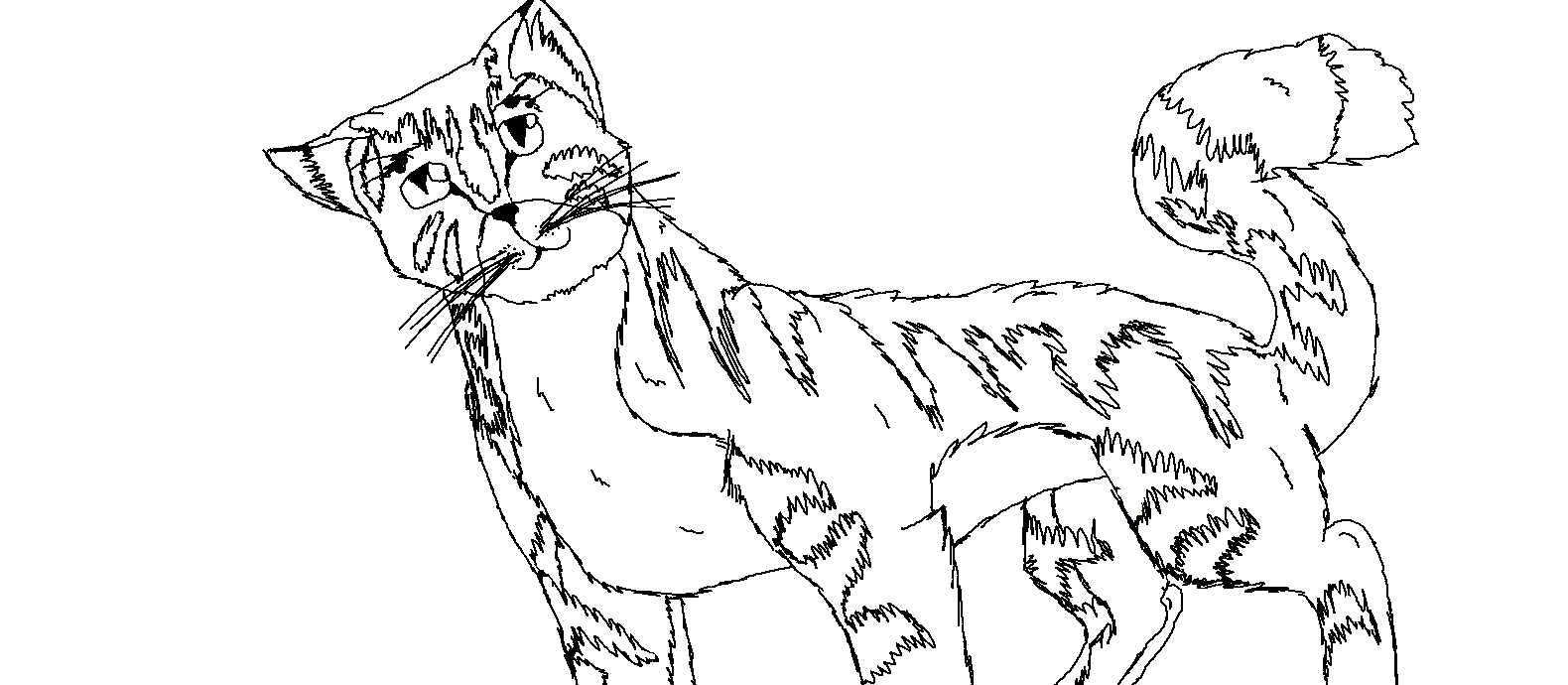 Warrior Cats Malvorlagen Coloring And Malvorlagan