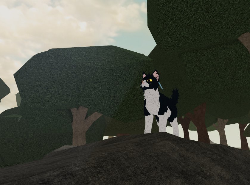 Коды в роблоксе коты воители. Коты Воители Roblox. Warrior Cats Ultimate Roblox. Warrior Cats Ultimate Edition Roblox. Warrior Cats Roblox.