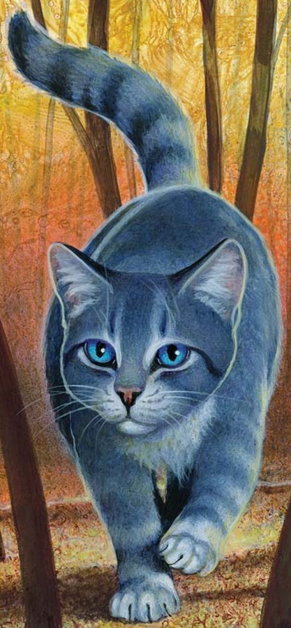 filme stream seiten warrior silberfluss warrior cats wiki fandom powered by wikia filme stream seiten warrior silberfluss warrior cats wiki fandom powered by wikia