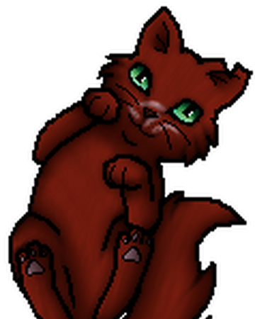 Kiefernstern Warrior Cats Wiki Fandom