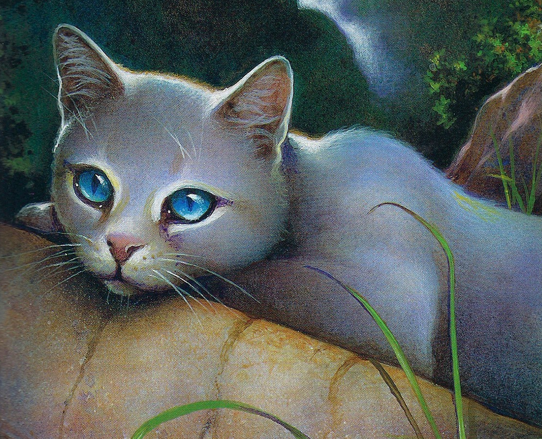 Warrior Cats Braunstern Warrior Cats Braunstern