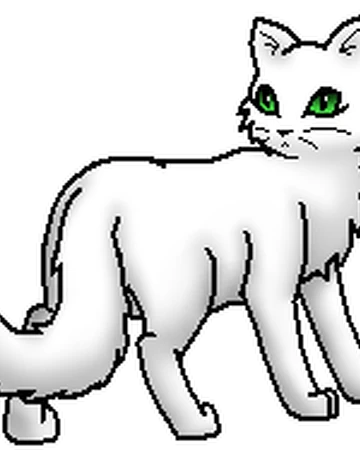 Mottenflug Warrior Cats Wiki Fandom