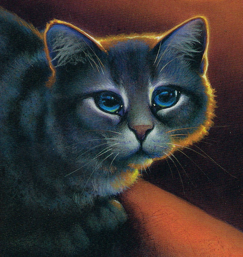 Zackiger Berg | Warrior Cats Wiki | Fandom