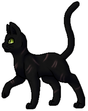 Nachtstern Warrior Cats Wiki Fandom