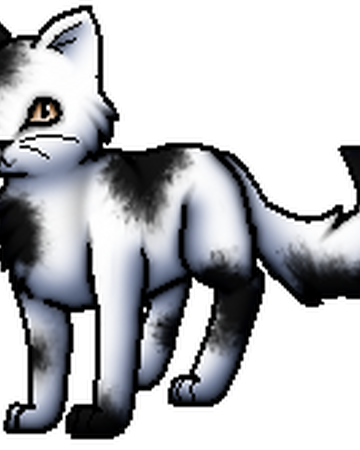 Flickenpelz Warrior Cats Wiki Fandom