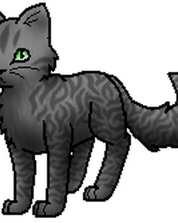 Windflug Warrior Cats Wiki Fandom