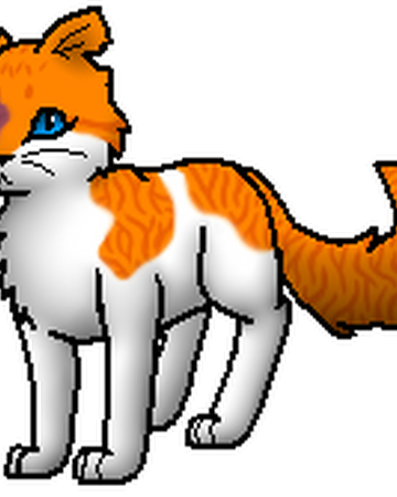 Lichtherz Warrior Cats Wiki Fandom