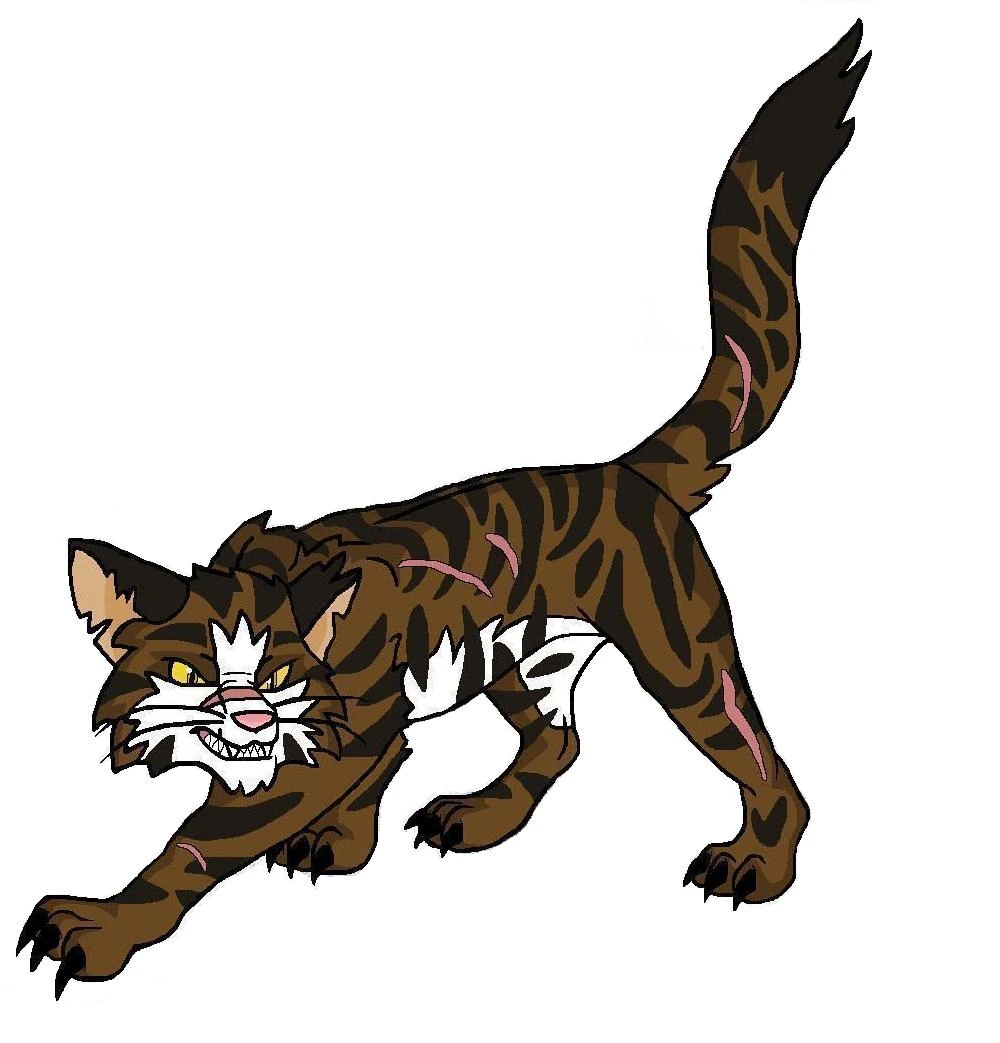 Bild Warriors tigerstern.jpg Warrior Cats Wiki FANDOM powered by