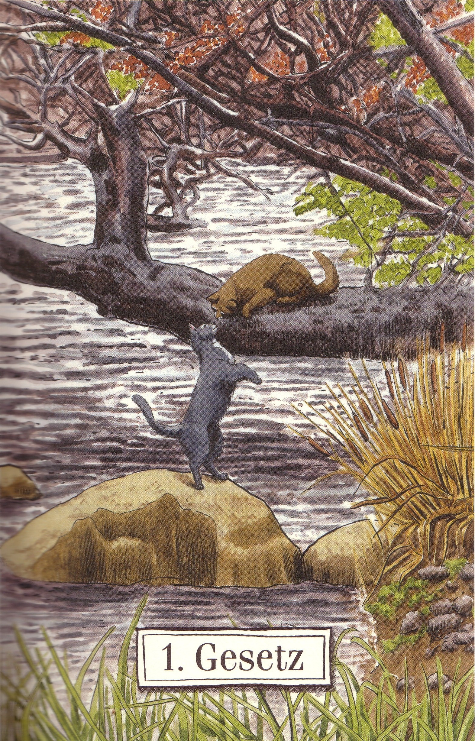 Bildergebnis fÃ¼r 1 gesetz derkrieger